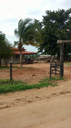 Foto 1 - Fazenda com 190 hectares