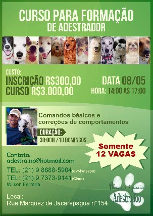 Foto 1 - Curso de formao de adestrador